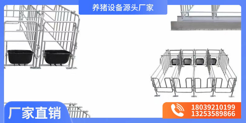 天津市保育栏猪场定位栏 - 价格